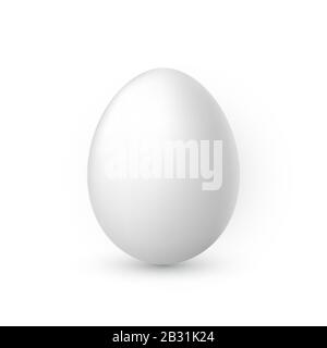 White egg on white background. Design template. Vector illustration. Stock Vector