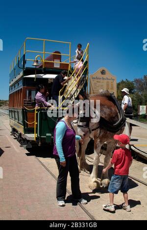 Victor Harbor, South Australia - January 5, 2022: Victor Harbor Horse ...