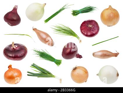 set of various onion herbs and vegetables isolated on white background Stock Photo