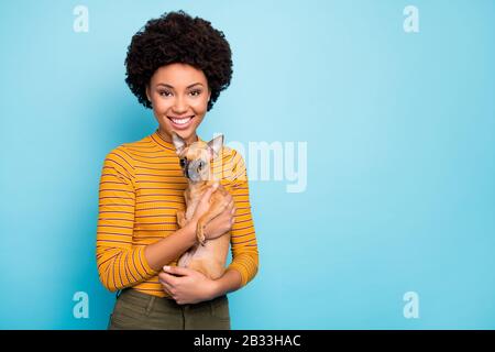 Photo of beautiful dark skin wavy lady hold favorite little pet dog hands bringing best friend to vet clinic examination wear yellow striped shirt Stock Photo