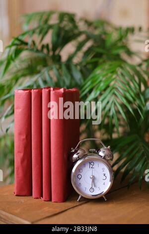 Red photo albums stnding near clock and houseplant on table. Stock Photo