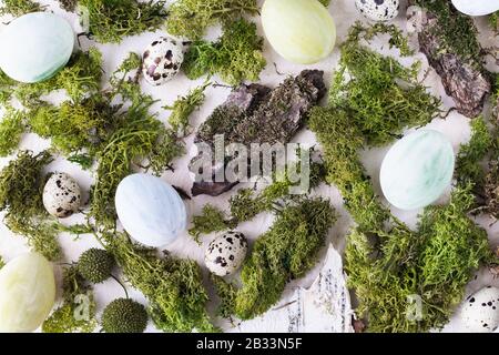 Flat lay with Easter colored eggs, moss and tree bark on a white background. Stock Photo
