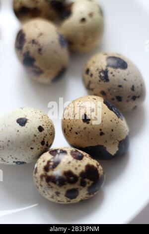Colorful Quail Eggs. Motley Eggs isolated on white Background. Breakfast Healthy Food. Easter Background. Stock Photo