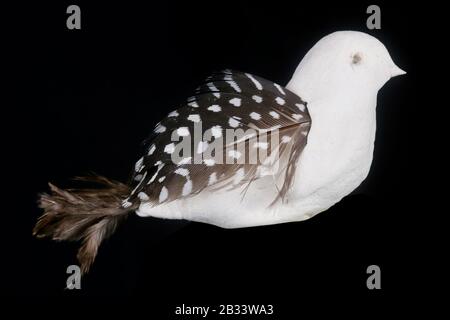 Homemade simple rural Easter bird made of white salt dough. Isolated on black studio macro Stock Photo