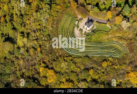 , Chapel on the Vineyards at Ellerweg in Merzig, 18.10.2012, aerial view, Germany, Saarland, Merzig Stock Photo