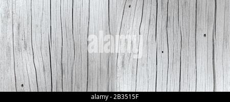 Light gray wood background panorama Stock Photo
