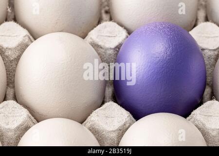 eggs in a cell close-up, one white, the other blue, as a sign of difference or loneliness, symbol of individuality. concept for Easter. Stock Photo