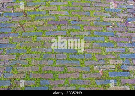 Closeup of an old mossy cobblestone road Stock Photo