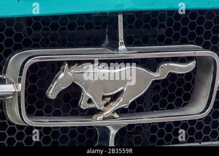 Welfenallee, Berlin, Germany - june 16, 2018: Logo wild horse on a vintage Mustang oldtimer car Stock Photo