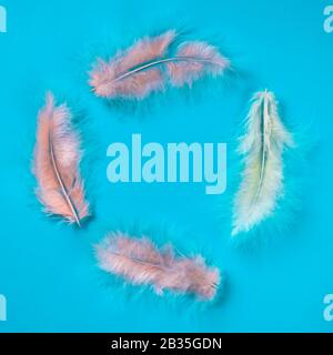 frame from pastel color fluffy feathers on blue background, flat lay, copy space Stock Photo
