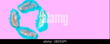 frame from toned colorful fluffy feathers on pink background, flat lay, copy space, easter or spring concept Stock Photo
