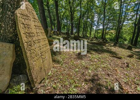 Jewish cemetery, destroyed by Germans during WWII, in Nowy Zmigrod, Malopolska, Poland Stock Photo