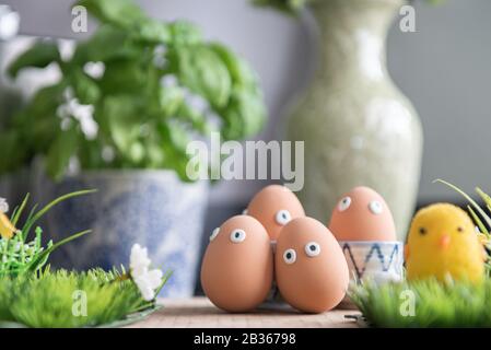 Happy Easter eggs in the kitchen among the spring grass with flowers, Easter egg hunt, egg characters with funny faces, Happy Easter concept, kitchen Stock Photo