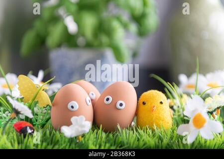 Happy Easter eggs in the kitchen among the spring grass with flowers, Easter egg hunt, egg characters with funny faces, Happy Easter concept, kitchen Stock Photo