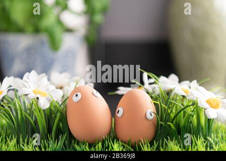 Happy Easter eggs in the kitchen among the spring grass with flowers, Easter egg hunt, egg characters with funny faces, Happy Easter concept, kitchen Stock Photo