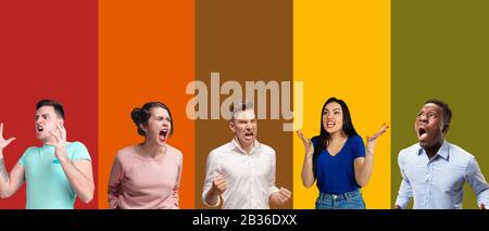 Portrait of group of emotional people on multicolored background. Flyer, collage made of 5 models. Concept of human emotions, facial expression, sales, ad. Angry screaming, shouting, disturbance.