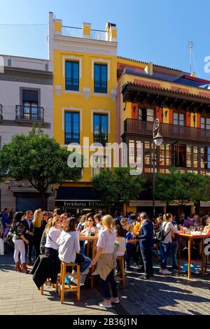 Spain, Andalusia, Seville, Alfalfa district, Plaza del Salvador (Savior Square), terrace of a tapas bar Stock Photo