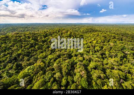 France, French Guiana, unexplored area on the border between the heart of the Amazonian Park of French Guiana and the Trinidad National Nature Reserve, end of the dry season, scientific multidisciplinary inventory mission Haut Koursibo, aerial view of the Amazon rainforest