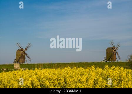 Sweden, Oland Island, Lerkaka, antique wooden windmills Stock Photo