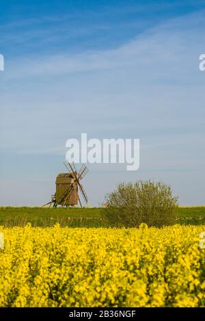 Sweden, Oland Island, Lerkaka, antique wooden windmills Stock Photo