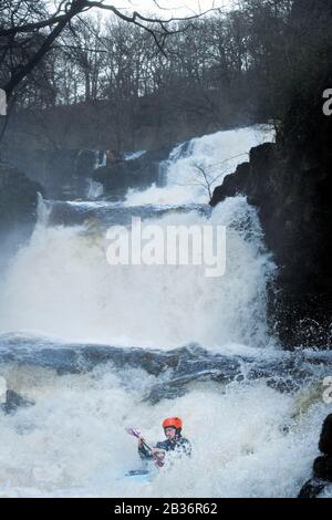 Kayakers take advantage of high water on the Mellte near Pontneddfechan to ride the Sgwd Isaf Clun-Gwyn falls in the Brecon Beacons, Wales UK Stock Photo