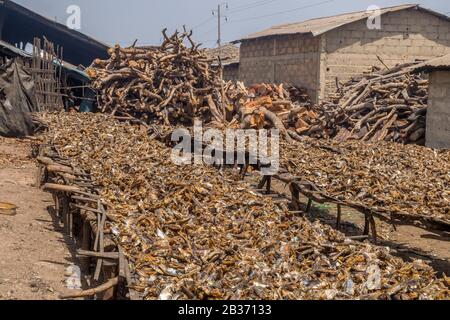 Senegal, Casamance, Kafountine, fish waste drying Stock Photo