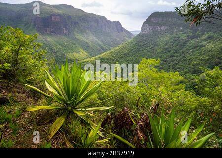 Mauritius, Plaines Wilhems district, Henrietta, the Seven Waterfalls of ...