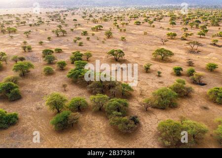 Kenya, landscape around the lake Magadi, Rift valley (aerial view) Stock Photo