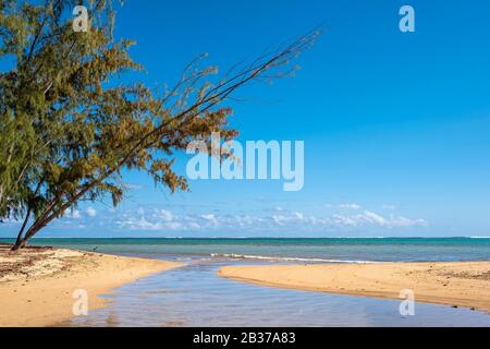 Mauritius, Savanne district, Bel Ombre beach Stock Photo