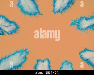 frame from fluffy creativ toned feathers on orange background with copy space Stock Photo