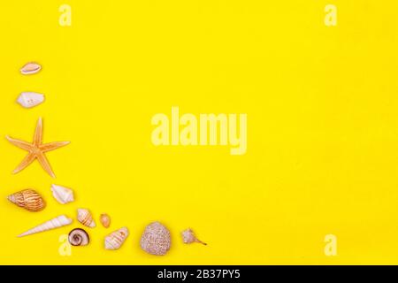 Sea shells, starfish on yellow background. Summer mood mockup Stock Photo