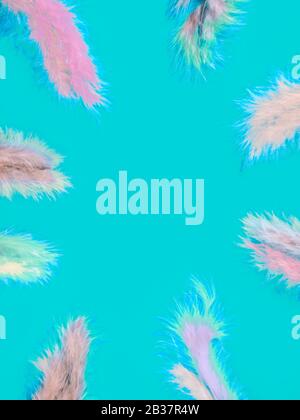 frame from multi-colored feathers on blue background, copy space Stock Photo