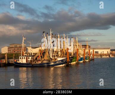Fischkutter im Hafen von Norddeich Stock Photo