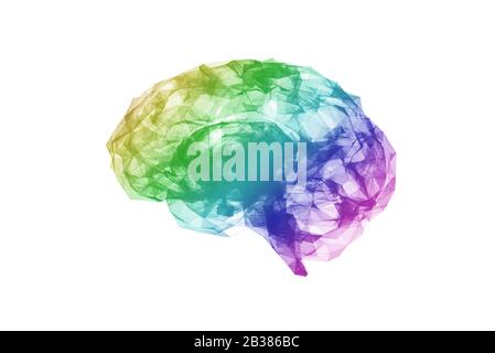 Brain low polygon, Idea concept, isolated on white background, 3d illustration Stock Photo
