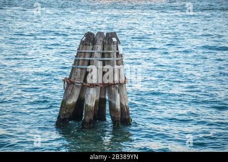 Pier wooden poles tightened together by rusty chains on canal in Venice Stock Photo