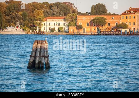 Pier wooden poles tightened together by rusty chains on canal in Venice Stock Photo