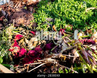 Organic waste on the compost Stock Photo