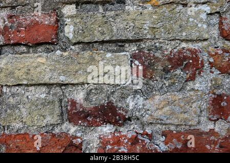 Old tudor brick wall in close up with narrow red and yellow bricks and mortar covered with algae and lichens that could be a background. Stock Photo