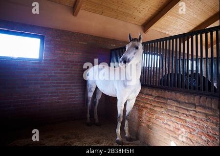 Katchreti, Georgia Stock Photo
