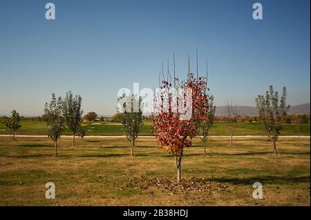 Katchreti, Georgia Stock Photo