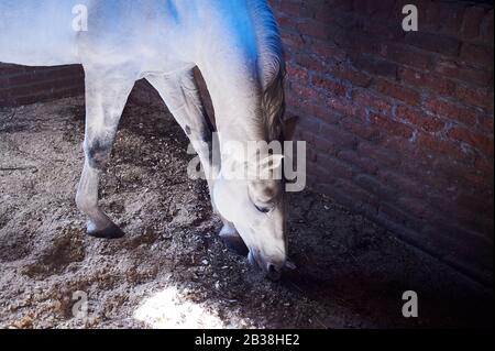 Katchreti, Georgia Stock Photo