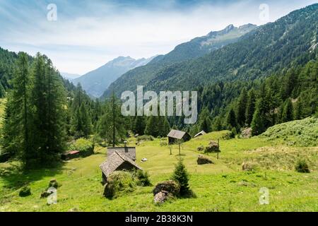 Valley in Ticino in summer with barns and wooden huts and Alps Stock Photo