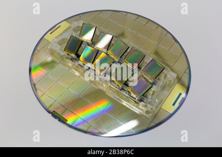 Silicon wafers and ready-made microchips lying in a tray on the surface. Stock Photo
