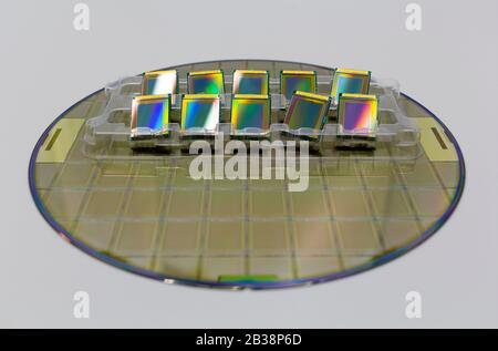 Silicon wafers and ready-made microchips lying in a tray on the surface. Stock Photo