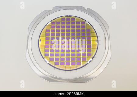 Silicon wafer with microchips fixed in the holder with steel frame on the grey background and ready for process . Stock Photo