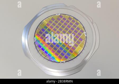 Silicon wafer with microchips fixed in the holder with steel frame on the grey background and ready for process . Stock Photo