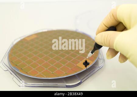 Silicone wafer in a plastic case on the table is take out by hand in a yellow glove and vacuum tweezers Stock Photo