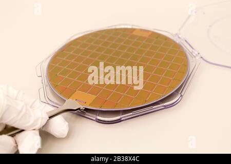 Silicone waffles in a plastic case on the table is take out by hand in a white glove and tweezers Stock Photo