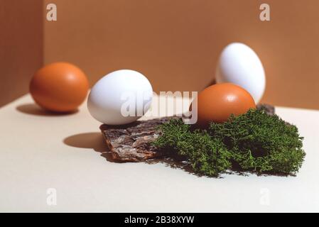 Four multi-colored eggs and natural materials moss and wood. Easter concept. Stock Photo
