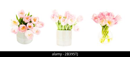 Set of three pink tulips bouquets in flower vase isolated over white background. Stock Photo